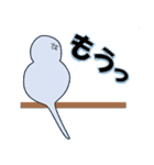 インコの日常スタンプ（個別スタンプ：26）