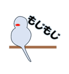 インコの日常スタンプ（個別スタンプ：31）