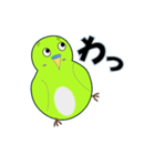 インコの日常スタンプ（個別スタンプ：34）
