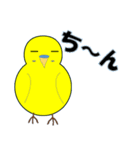 インコの日常スタンプ（個別スタンプ：37）