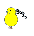 インコの日常スタンプ（個別スタンプ：39）