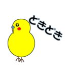 インコの日常スタンプ（個別スタンプ：40）