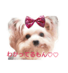 可愛いシェリーとジュディのスタンプ（個別スタンプ：1）