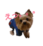 可愛いシェリーとジュディのスタンプ（個別スタンプ：2）