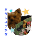 可愛いシェリーとジュディのスタンプ（個別スタンプ：19）