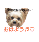 可愛いシェリーとジュディのスタンプ（個別スタンプ：22）
