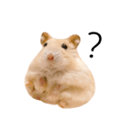 じゃんがりあん茶丸（個別スタンプ：6）