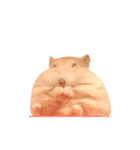 じゃんがりあん茶丸（個別スタンプ：19）