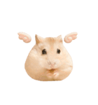 じゃんがりあん茶丸（個別スタンプ：33）