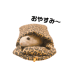 じゃんがりあん茶丸（個別スタンプ：38）