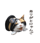 たま駅長と仲間たちスタンプ（個別スタンプ：1）