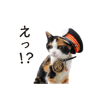 たま駅長と仲間たちスタンプ（個別スタンプ：2）
