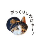 たま駅長と仲間たちスタンプ（個別スタンプ：4）