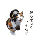 たま駅長と仲間たちスタンプ（個別スタンプ：5）