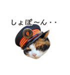 たま駅長と仲間たちスタンプ（個別スタンプ：12）