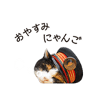 たま駅長と仲間たちスタンプ（個別スタンプ：15）