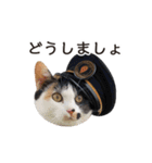 たま駅長と仲間たちスタンプ（個別スタンプ：22）