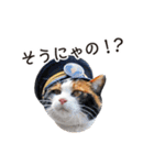たま駅長と仲間たちスタンプ（個別スタンプ：25）