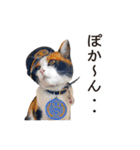 たま駅長と仲間たちスタンプ（個別スタンプ：26）