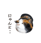 たま駅長と仲間たちスタンプ（個別スタンプ：32）
