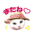 ZOO動物プロ キャットスター☆ あなご（個別スタンプ：35）