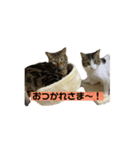 げんきとゆうき1（個別スタンプ：1）