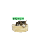 げんきとゆうき1（個別スタンプ：3）