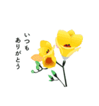 お花と一緒に贈るひとことメッセージ（個別スタンプ：8）