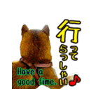虎春日和 弐の巻（個別スタンプ：10）