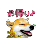 虎春日和 弐の巻（個別スタンプ：12）