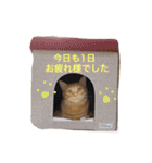 コテモツの日常スタンプ①（個別スタンプ：1）