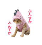 コテモツの日常スタンプ①（個別スタンプ：13）