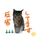 なななちゃん3改【え】（個別スタンプ：10）