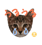 なななちゃん3改【え】（個別スタンプ：11）