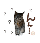 なななちゃん3改【え】（個別スタンプ：13）