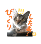 なななちゃん3改【え】（個別スタンプ：16）