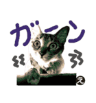 なななちゃん3改【え】（個別スタンプ：22）