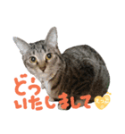 なななちゃん3改【え】（個別スタンプ：32）