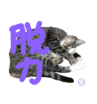 なななちゃん3改【え】（個別スタンプ：33）