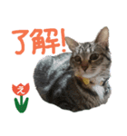 なななちゃん3改【え】（個別スタンプ：37）
