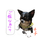 セキグチのきゅーちゃん（個別スタンプ：7）