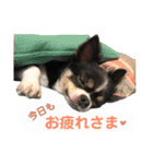 セキグチのきゅーちゃん（個別スタンプ：9）