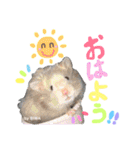 長毛ハムスター★つくしBIWAメロミロmint（個別スタンプ：1）