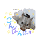 長毛ハムスター★つくしBIWAメロミロmint（個別スタンプ：3）