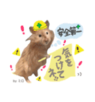 長毛ハムスター★つくしBIWAメロミロmint（個別スタンプ：6）