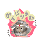 長毛ハムスター★つくしBIWAメロミロmint（個別スタンプ：9）