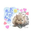 長毛ハムスター★つくしBIWAメロミロmint（個別スタンプ：10）