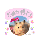 長毛ハムスター★つくしBIWAメロミロmint（個別スタンプ：11）