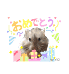 長毛ハムスター★つくしBIWAメロミロmint（個別スタンプ：28）