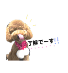といぷーうたさん（個別スタンプ：7）
